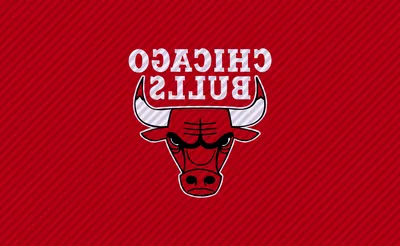 Chicago Bulls